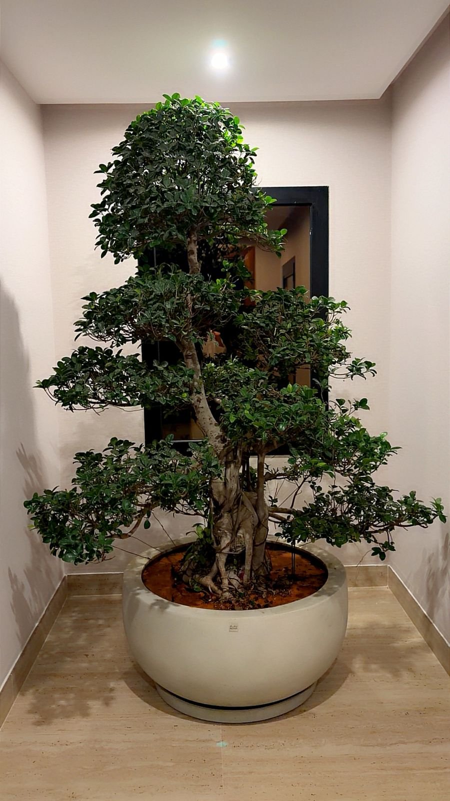 Landscape design garden lighting